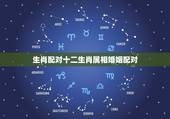 生肖配对十二生肖属相婚姻配对，生肖配对十二生肖属相婚姻配对可信吗