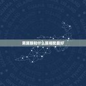 男属猴和什么属相配最好，95年属猪男的和什么属相最配