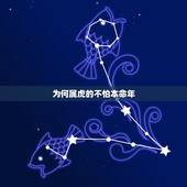 为何属虎的不怕本命年 属虎的开运吉祥物