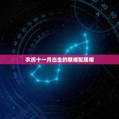 农历十一月出生的猴婚配属相，11月猴最加婚配什么属相