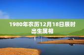 1980年农历12月18日辰时出生属相，1980年出生，属相是什么？