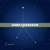 花卉图片大全及花名及价格，花卉图片大全及花名火炬花培养？