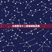 水瓶男与十二属相婚配结果，十二属相婚配