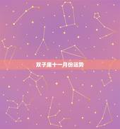 双子座十一月份运势，双子座三月三十一号运势