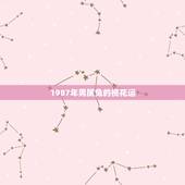 1987年男属兔的桃花运，10分悬赏，1987.09.24，早上7~8
