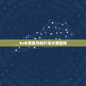 9o年男属马和87年女婚配吗，男生属兔1987年巨蟹座和属马1990年