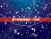 两个相克的属相另一个有病，生肖相冲，相克