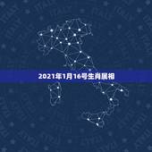 2021年1月16号生肖属相，2021年1月25日出生属什么生肖