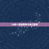 16年一月份的羊今年几周岁，羊是哪一年出生的今年几岁