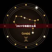 2021今年属什么年，2021年是什么年什么命