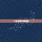 12生肖配对婚姻表，十二生肖婚配更佳配对