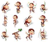 1992年猴男最佳配偶(为何备受青睐)