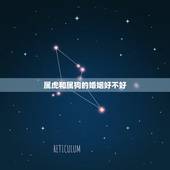 属虎和属狗的婚姻好不好，属虎和属狗的婚姻情况