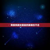 男属狗跟女属鼠的属相合不合，男属狗和女属鼠相克吗？