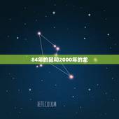 84年的鼠和2000年的龙，龙鼠是什么寓意是什么