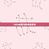 1954年属马的寿命多长，78年属马44岁以后财运