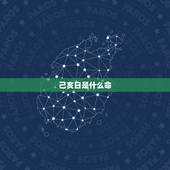 己亥日是什么命，己亥日生未月八字命理
