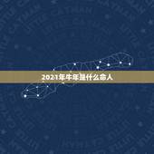 2021年牛年是什么命人，2021年是什么年什么命