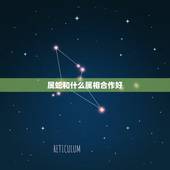 属蛇和什么属相合作好，属蛇和什么属相相克