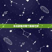 东北缺角对哪个属相不好，易经风水东北缺角缺角如何化解