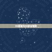 95属猪与98年女婚配，95年属猪女跟98年属虎男合适吗？