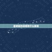属老鼠的结婚忌什么属相，老鼠不适合配的生肖