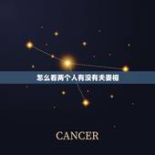 怎么看两个人有没有夫妻相，请问怎样看出两个人有夫妻相的？