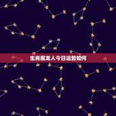 生肖属龙人今日运势如何，2022 年属龙人全年运势