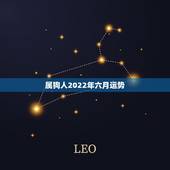 属狗人2022年六月运势，2021属狗人全年运势1982每月运势