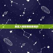 属鼠人婚配哪些属相好，96年属鼠的和什么属相最配 1996年属鼠的人婚