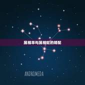 属相羊与属相蛇的婚配，生肖配对羊与蛇，生肖和不和