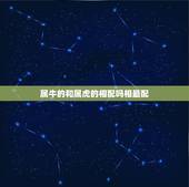 属牛的和属虎的相配吗相最配，属牛与属虎结婚适合吗