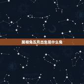属相兔五月出生是什么兔，51年5月属兔人五行属相表