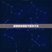 猪跟猪结婚配不配合不合，属相婚配：男属猪和女属猪相配吗