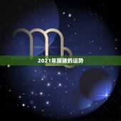 2021年属猪的运势，2021年属猪的运势和财运