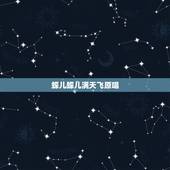 蝶儿蝶儿满天飞原唱，有一首歌跟《蝶儿蝶儿满天飞》差不多的，好像是粤语的