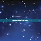 十一月份属兔的运气，属兔的运气不好怎么办