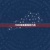 1988年龙属相犯几月，1988年属龙的犯几月