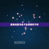 属兔和属马合不合结婚好不好，兔娶马好不好