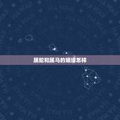 属蛇和属马的姻缘怎样，属蛇和属马不合怎么离婚