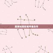 属猪和属蛇谁克谁合作，1977年属蛇的是什么命
