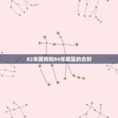 82年属狗和84年属鼠的合财，1984年的属鼠的。和1982年属狗的。