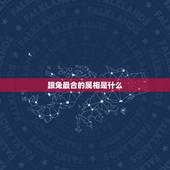 跟兔最合的属相是什么，属兔与什么属相相合，相冲？