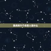 属虎的六个合贵人是什么，虎的三合生肖是什么