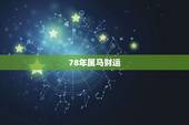 78年属马财运，78年属马的今年运势怎么样？