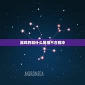 属鸡的和什么属相不合相冲，属兔2022 年运势及运程1999