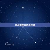 虎与龙生肖合不合财，生肖龙和生肖虎合不合