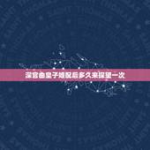 深宫曲皇子婚配后多久来探望一次，深宫曲怎么收买宫女