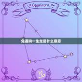 兔遇狗一生走是什么意思，狗兔六合本为亲