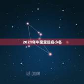 2021年牛宝宝起名小名，2021牛宝宝最火乳名